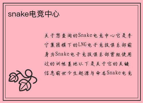 snake电竞中心